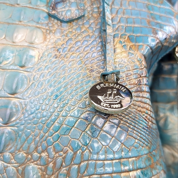 Brahmin - Picture 3 of 12